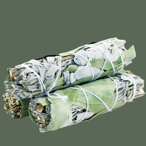 White Sage & Eucalyptus Smudge Stick