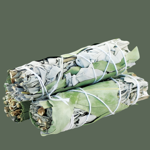 White Sage & Eucalyptus Smudge Stick
